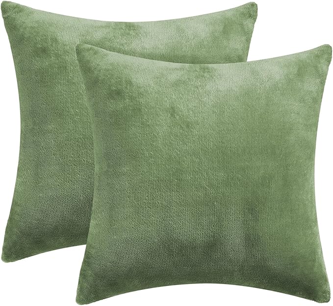 BEDELITE Velvet Pillow Covers 18x18 with Zipper, 2 Pack Super Soft Square Pillow Covers for Bedroom, Sofa, Luxury Cozy Fleece Pillowcases for All Seasons(18x18 Inches, Sage Green)