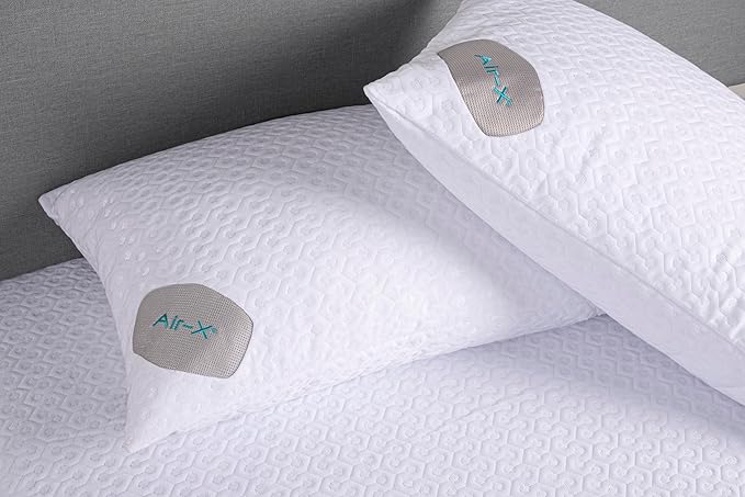 Bedgear Dri-Tec Performance Pillow Protector, Moisture-Wicking Cooling Pillow Cover with Airflow Technology | Breathable, Protective Pillowcase with Zipper | Machine Washable Pillow Protector, Queen