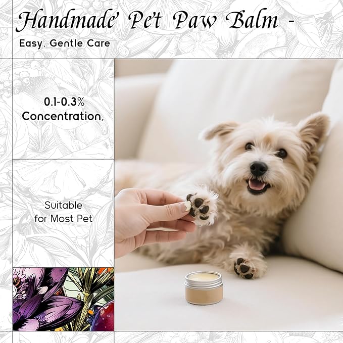 HIQILI Looking for Myself Fragrance Oil for Diffuser, DIY Candle, Soap, Perfume Making, Long Lasting Warm & Sweet Scents - 5.07 Fl Oz