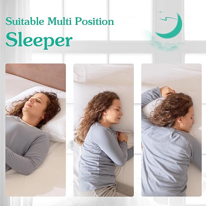 Three Geese White Goose Feather Cotton Pillows Queen Size Set of 1- Soft 600 Thread Count 100% Cotton, Medium Firm,Soft Support Surround Fill Cotton (Queen Size:Pack of 1)