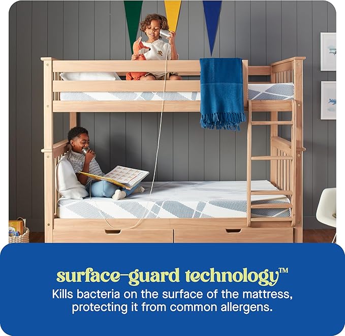 Sealy Dreamlife 8” Foam Mattress-in-a-Box, Twin
