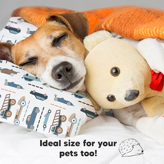 Toddler Pillow with Pillowcase - 13x18 My Little Dreamy Kids Travel Bed Pillows for Sleeping, Organic Cotton Small Pillowcase, Soft & Breathable, Machine Washable, Toddlers 2-5 years old (Vroom)