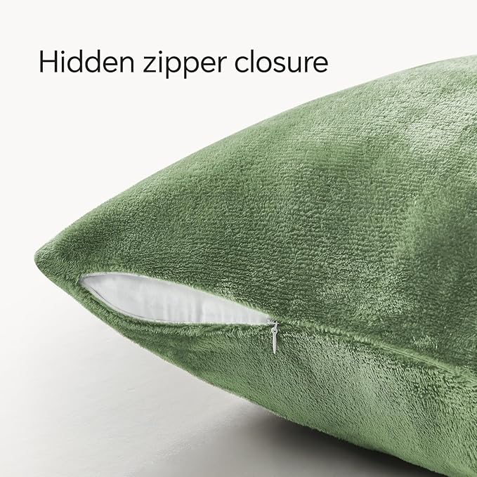 BEDELITE Velvet Pillow Covers 18x18 with Zipper, 2 Pack Super Soft Square Pillow Covers for Bedroom, Sofa, Luxury Cozy Fleece Pillowcases for All Seasons(18x18 Inches, Sage Green)