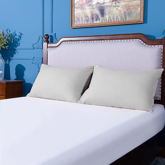 NTBAY King Pillowcase Set - 2 Pack Brushed Microfiber 20x40 Pillowcases - Soft, Wrinkle-Free, Fade-Resistant, Stain-Resistant, Light Grey Pillowcases with Envelope Closure - 20x40 Inches, Light Grey