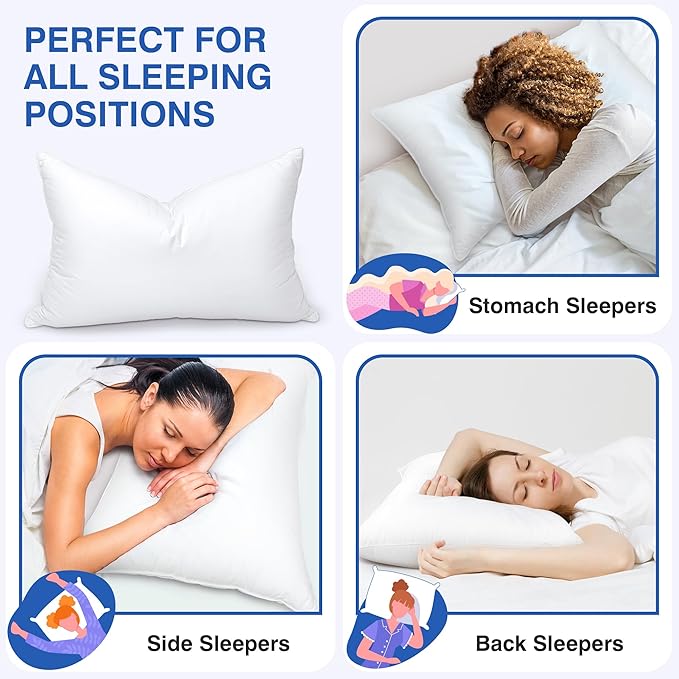 Goose Feather Pillow Queen Size Set of 2 - Soft and Firm Two Sides Optional, Down Hotel Bed Pillows for Sleeping, Fluffy Support Surround Fill Polyester for Back, Stomach, Side Sleepers