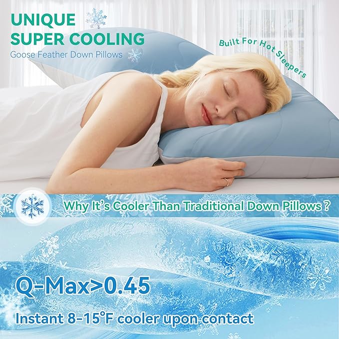 Three Geese Cooling Goose Feather Down Pillows Standard Size Set of 1, Q-Max>0.45, Cool Hotel Bed Pillows for Hot Sleepers, Washable Removable Cover, 20" x 26"
