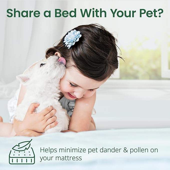 SafeRest Waterproof Queen Size Mattress Protector - Viscose Derived from Bamboo - Fitted with Stretchable Pockets - Machine Washable Viscose Blend Mattress Cover for Bed