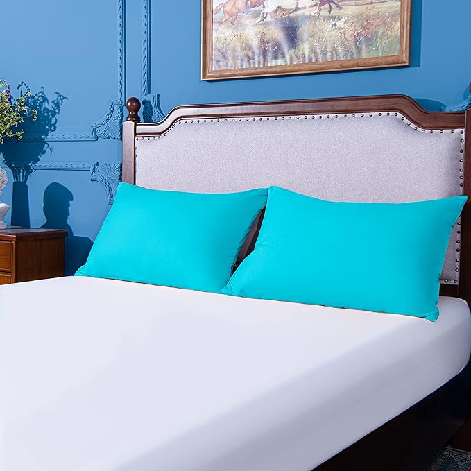 NTBAY Standard Pillowcase Set - 2 Pack Brushed Microfiber - Soft, Wrinkle-Free, Fade, Stain-Resistant, Pillow Cases with Envelope Closure - 20x26 Inches, Blue
