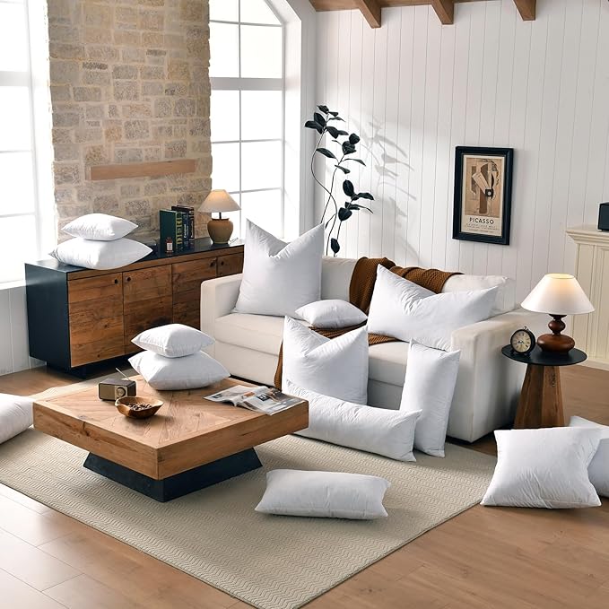 basic home® Hotel-Style Goose Feather Pillow Insert for Sofa & Bed - 100% Odorless & Plump Cushion Filler - 233TC Cotton with Inner Liner to Prevent Poking (22x22 Inch)