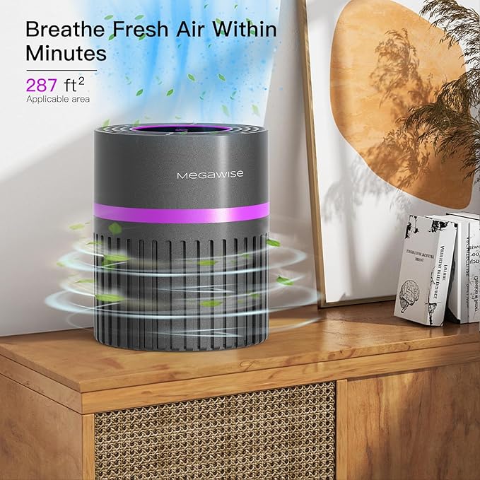 MEGAWISE Portable Air Purifier, H13 True HEPA 3-in-1 Filter, 99.97% 0.3 Micron Filtration, Dust Smoke Pet Dander, Ozone Free, Ultra-Quiet 24dB, Small Tabletop Air Cleaner for Bedroom Home Office