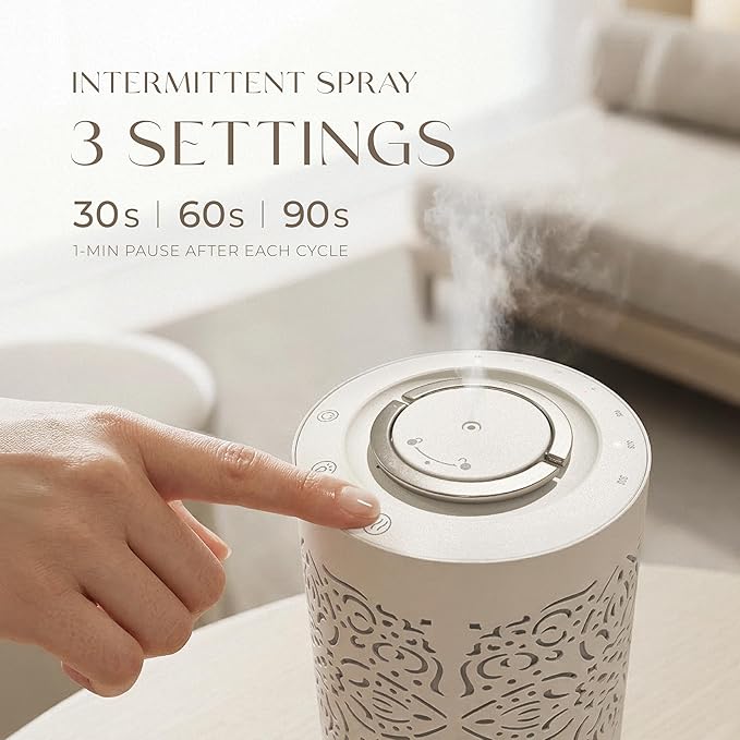 Earnest Living Waterless Diffuser 100ml Nebulizing Diffusion System for Large Ambient Space Studio Home Office Hotel Spa