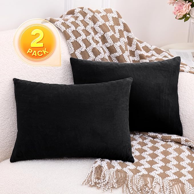 1 MIDDLE ONE 2 Pack Small Pillow, 16 X 12 Inches, Memory Foam Mini Pillow for Travel, Camping, Sleeping, Nap and Neck, Knee, Lumbar Support, Tiny Cushion for Pet, Dogs (Black)
