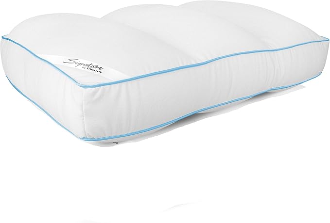 Cloudz Signature Premium Hypoallergenic Stay Cool Ultra Soft Microbead Bed Pillow - White