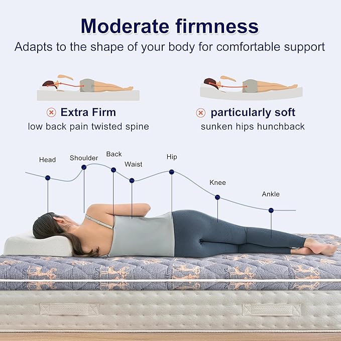 Lillibearas Premium Foam Twin XL Mattress Topper -Thick 9-Layer Modern Comfort Topper, 60-mil Foam-Back Pain Relief & Comfort Support, Breathable & Hypoallergenic