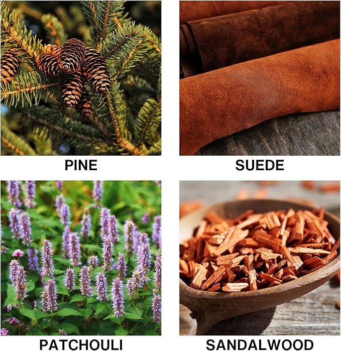 Wildwood Scent Reed Diffuser – Home Fragrance Diffuser with Pine, Suede, Patchouli & Sandalwood – Long Lasting Diffusers for Home Scented Aroma Sticks – 150ml
