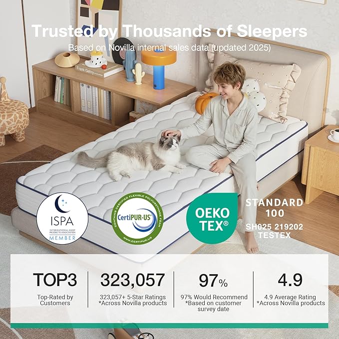 Novilla Queen Mattress 8 inch,Foam and Spring Hybrid Mattresses for Comfortable Sleep,Steel Coils for Durable Support,CertiPUR-US Certified Foam,Youth/Guest Rooms,Queen Size Mattress in a Box
