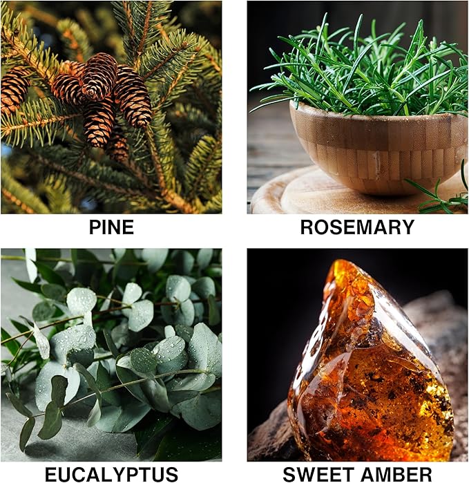 Misty Pines Scent Reed Diffuser – Luxury Reed Diffuser with Fresh Pine, Eucalyptus, Rosemary & Sweet Amber – Long Lasting, Crafted by Perfumers Home Fragrance – 150ml