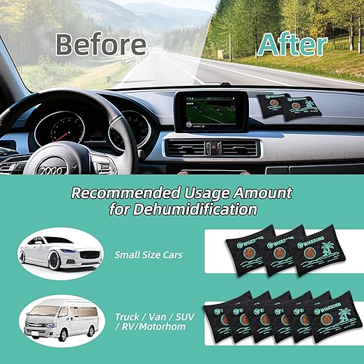 Wisesorb 100g x 5pcs Rechargeable Desiccant Packs, Reusable Car Dehumidifier Bags Color Indicating Silica Gel Packets Moisture Absorbers for Storage Bins, Suitcase, Safe, 3D Filaments, Electronics