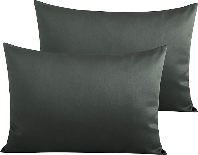 NTBAY Egyptian Cotton Queen Pillowcases - Set of 2, 500 Thread Count Cotton Pillowcases - Soft and Breathable Envelope Closure Pillow Cases - 20x30 Pillow Covers for Bed, Charcoal Grey