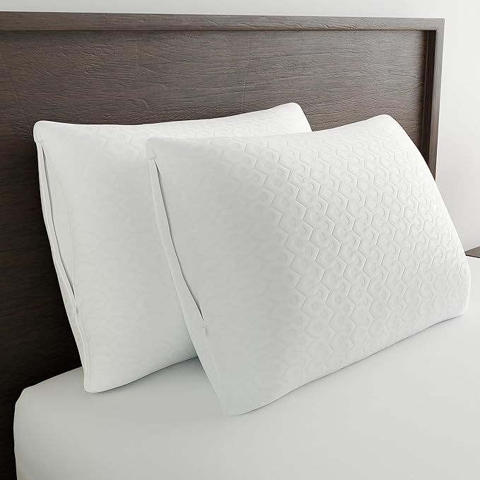 AllerEase Platinum Allergy Defense Particles Proof Temperatur Balancing Luxurious Plush Fabric Machine Washable Durable Zippered Pillow Protector, King Size, White