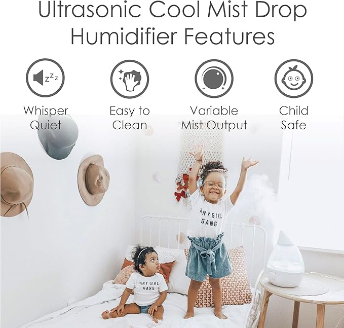 Crane Ultrasonic Cool Mist Humidifier for Bedroom, Baby Nursery, Kids Room, Plants, or Office, Large 1 Gallon Tank, Filter Optional, Clear and White