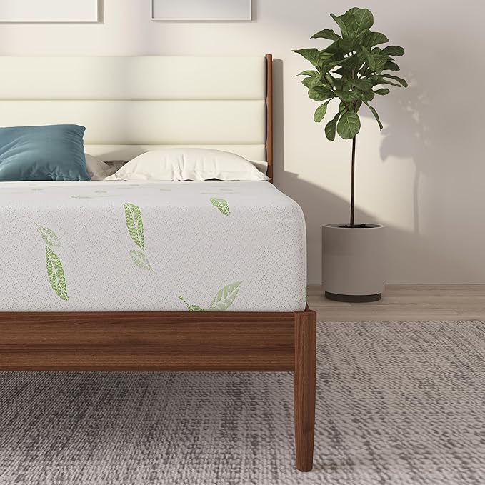 NapQueen Twin XL Size, 12 Inch Anula Green Tea Infused Memory Foam Mattress, Bed in a Box, CertiPUR-US Certified Mattress