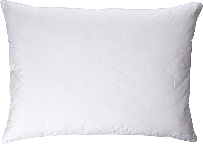 Blue Ridge Home Fashions Quilted Goose and Feather Down Jumbo Pillow in White (Set of 2)