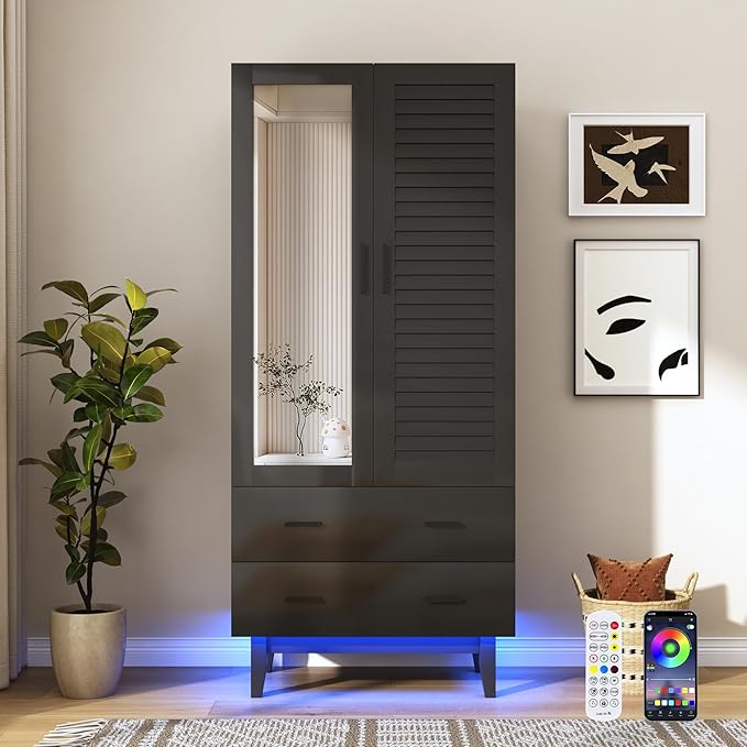 jiteentarou 2 Door Armoire Wardrobe Closet Cabinet with Drawers and LED Lights, Multi-Tier Shelves, Hanging Rod & 2 Louver Doors, Large Capacity Storage Wardrobe Armoire for Bedroom(2 Doors Black)