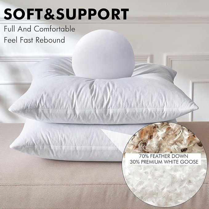 MIULEE 22 x 22 Goose Feather Down Pillows with 100% Cotton Cover, Set of 2 Soft Fluffy Decorative Pillow Inserts for Sofa Bed Couch Living Room White