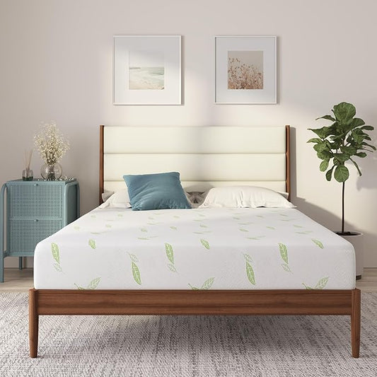 NapQueen Twin XL Size, 6 Inch Anula Green Tea Infused Memory Foam Mattress, Bed in a Box, CertiPUR-US Certified Mattress