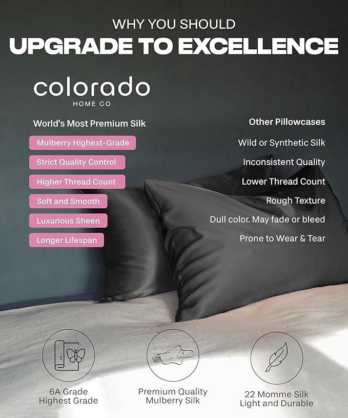 SUNDAYSILKS™ Premium Silk Pillow Cases | 100% Mulberry Silk Pillowcase with Zipper, All Sides Real 22 Momme Grade 6A Silk, Standard Queen, King Size