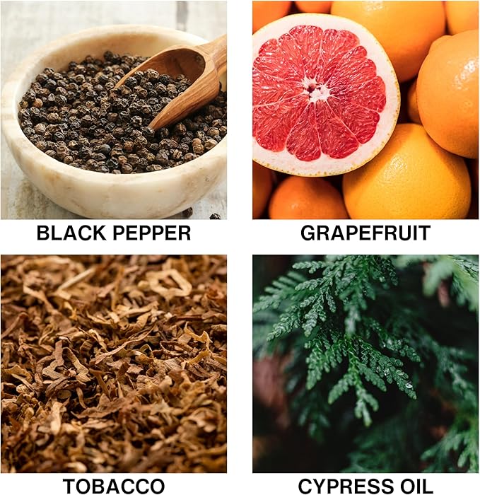 Cypress Blaze Scent Aromatherapy Diffuser – Long-Lasting Home Fragrance Diffuser with Tobacco, Cypress & Grapefruit – Scented Oil Sticks for Room, Office, or Bathroom – 150ml