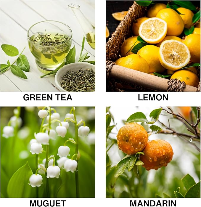Tea Garden Bliss Scent Reed Diffuser – Aromatherapy Diffuser with Green Tea, Mandarin & Muguet – Long-Lasting Scented Oil for Home, Bathroom, Bedroom – 150ml