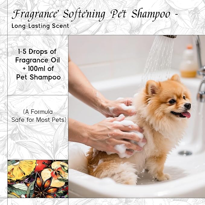 HIQILI Narcissus Fragrance Oil for Diffuser & DIY, Highly Concentrated Scented Oil for Candle Making, Soap, Perfume, Fresh Floral Aroma - 5.07 Fl Oz