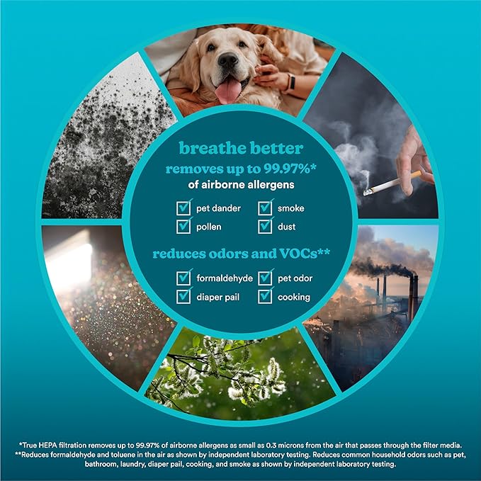 Homedics 3-1 Air Purifier For Home, Office and Bedrooms. 975 Sq Ft of Coverage/Hour. True HEPA Filtration, Activated Carbon Filter, Prefilter, Reduces Bacteria, Virus, Mold, Odors, Medium Rooms