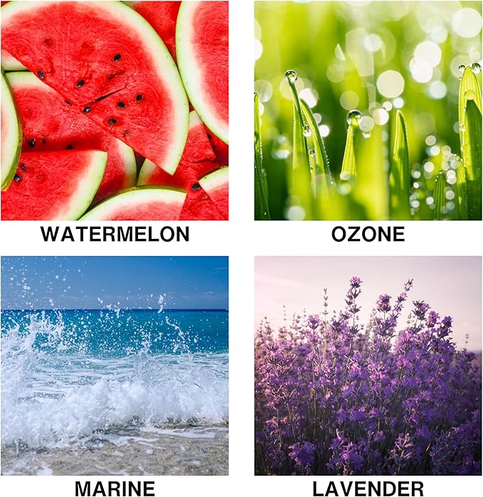 Oasis Drift Scent Luxury Reed Diffuser for Home – Long Lasting Home Fragrance Diffuser with Lavender, Marine, Watermelon & Ozone – Premium Essential Oils – 50ml