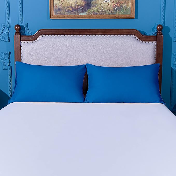 NTBAY Queen Pillowcase Set - 4 Pack Brushed Microfiber 20x30 Pillowcases - Soft, Wrinkle-Free, Fade-Resistant, Stain-Resistant, Royal Blue Pillowcases with Envelope Closure - 20x30 Inches, Royal Blue