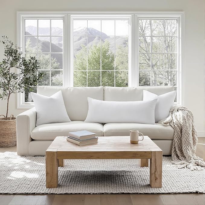 MIULEE 28 x 28 Goose Feather Down Euro Pillow with 100% Cotton Cover, Set of 1 Soft Fluffy Decorative Pillow Insert for Sofa Bed Couch Living Room White