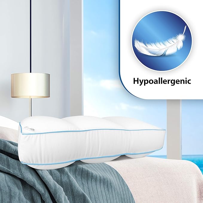 Cloudz Signature Premium Hypoallergenic Stay Cool Ultra Soft Microbead Bed Pillow - White