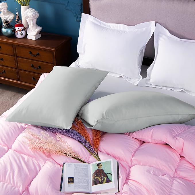 NTBAY Egyptian Cotton Queen Pillowcases - Set of 2, 500 Thread Count Cotton Pillowcases - Soft and Breathable Envelope Closure Pillow Cases - 20x30 Pillow Covers for Bed, Light Grey
