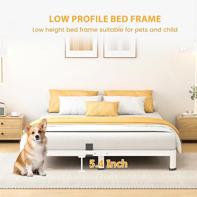 7 Inch Queen Bed Frame, Metal Platform Bed Frame with Round Corner Legs, 3500 lbs Heavy Duty Steel Slats Support, No Box Spring Needed, Noise Free, Easy Assembly, White