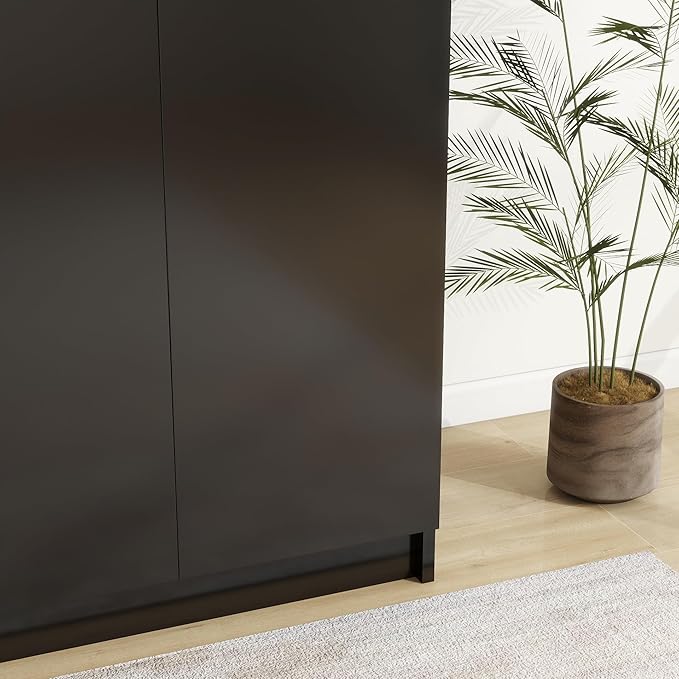 Panana 2 Door Wood Wardrobe Cabinet Closet with Hanging Rail and 2 Shelves, Bedroom Armoire for Storage (Black)