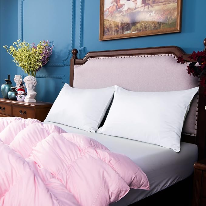 NTBAY Egyptian Cotton Queen Pillowcases - Set of 2, 500 Thread Count Cotton Pillowcases - Soft and Breathable Envelope Closure Pillow Cases - 20x30 Pillow Covers for Bed, White