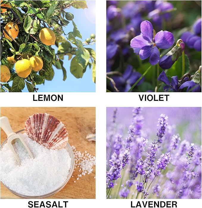 Ocean Breeze Scent Reed Diffusers for Home – Aroma Diffuser with Violet, Lemon, Sea Salt & Lavender – Long Lasting Scented Home Fragrance Gift – 50ml