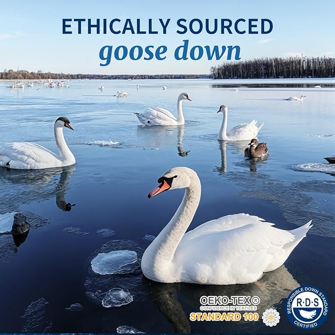 Canadian Luxury Goose Down Pillow Queen Size - 900 Fill Power, 100% Cotton with Teflon Shell- Ultra Comfort Sleep Pillows - Bed Pillows for Back, Stomach, Side Sleeper(White,Queen(Pack of 1))