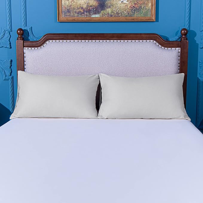 NTBAY Standard Pillowcase Set - 2 Pack Brushed Microfiber 20x26 Pillowcases - Soft, Wrinkle-Free, Fade-Resistant, Stain-Resistant, Light Grey Pillowcases with Envelope Closure - 20x26 Inches