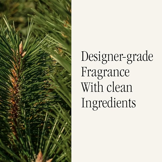 Pura & Aromatique Home Scent Refill - Smart Home Air Diffuser Fragrance - Up to 120-Hours of Luxury Fragrance per Refill - Household Essential - Clean Diffuser - The Smell of Tree, 2 Pack