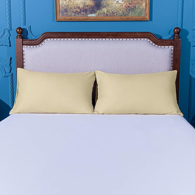 NTBAY Queen Pillowcase Set - 4 Pack Brushed Microfiber 20x30 Pillowcases - Soft, Wrinkle-Free, Fade-Resistant, Stain-Resistant, Light Taupe Pillowcases with Envelope Closure - 20x30 Inches