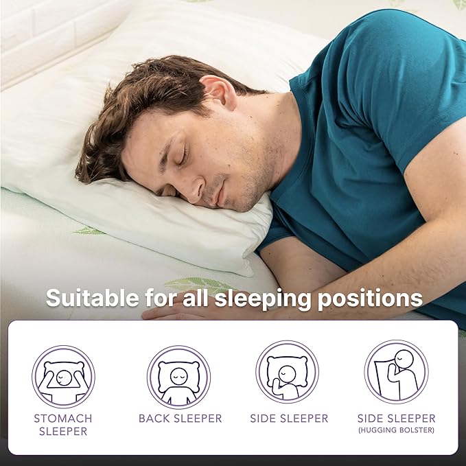 NapQueen Twin XL Size, 6 Inch Anula Green Tea Infused Memory Foam Mattress, Bed in a Box, CertiPUR-US Certified Mattress