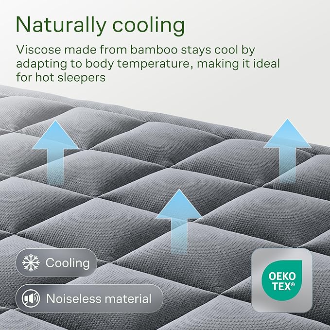 Niagara Sleep Solution Ultra Soft Queen RV Size Mattress Topper - Rayon Derived from Bamboo Pillow Top Mattress Pad for Back Pain Relief - Naturally Cooling for Hot Sleepers, Gray